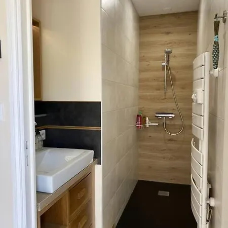 Apartment Climatise Avec Terrasse Cours (Rhone)