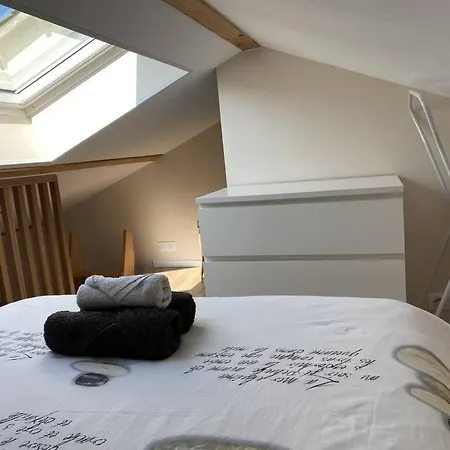 Apartment Climatise Avec Terrasse Cours (Rhone)